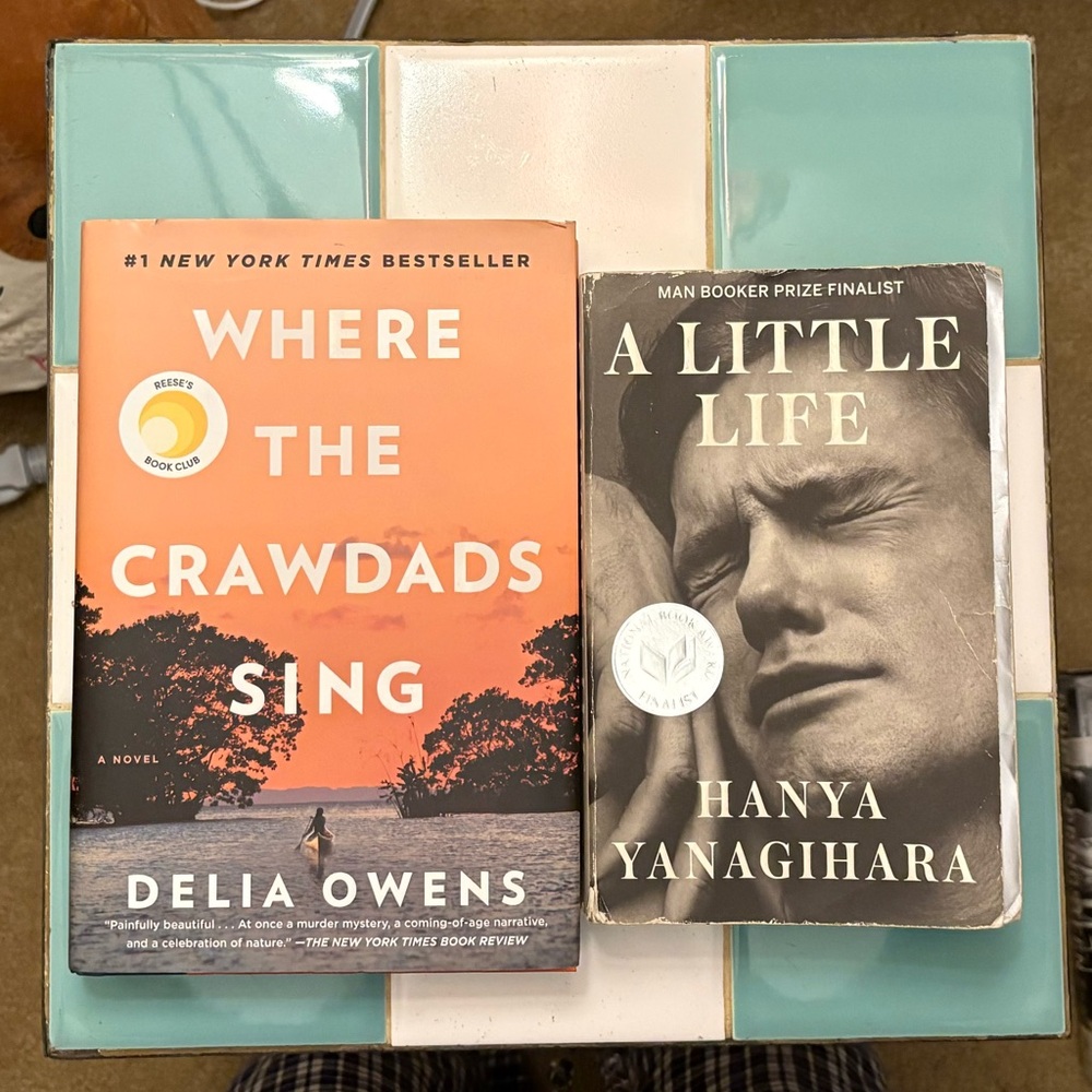 Where the Crawdads Sing and A Little Life Book Set